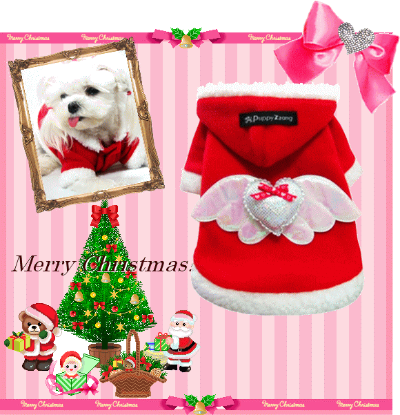 とても可愛いクリスマスカラーのフード（犬　服　犬服　Chaneri）