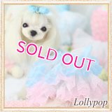 【新作】【春夏】【Sale　2480円】【犬 服】パフ袖のレースチュチュドレス【Lollypop】【メール便OK】