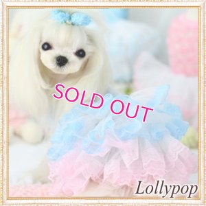画像1: 【新作】【春夏】【Sale　2480円】【犬 服】パフ袖のレースチュチュドレス【Lollypop】【メール便OK】