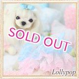 画像: 【新作】【春夏】【Sale　2480円】【犬 服】パフ袖のレースチュチュドレス【Lollypop】【メール便OK】