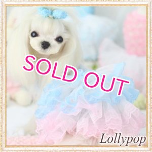 画像: 【新作】【春夏】【Sale　2480円】【犬 服】パフ袖のレースチュチュドレス【Lollypop】【メール便OK】