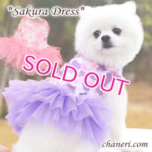 画像: 【犬 服】【sale】【春夏】Sakuraモチーフチュチュフリルのワンピース【メール便OK】